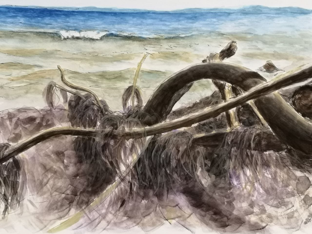 photo 2026 03 31 12 25 32